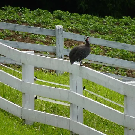 W Legu Natury Farm stay *