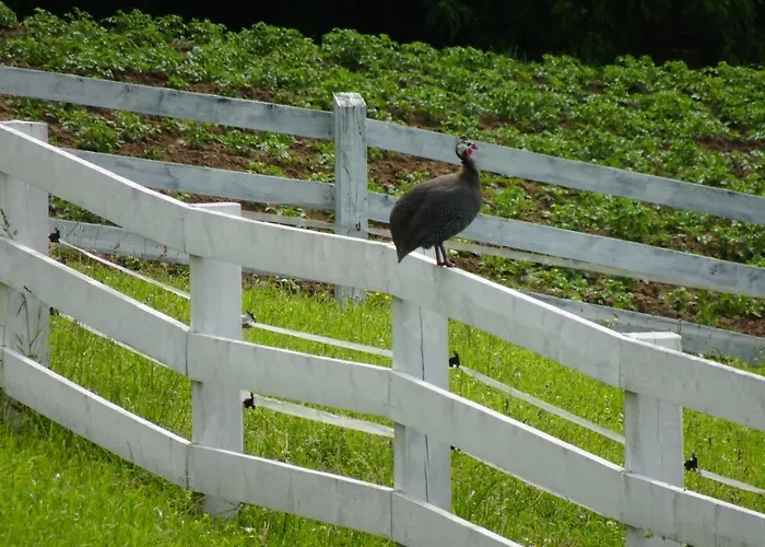 W Legu Natury בית חווה *